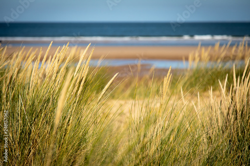 sandy beach blue skies green grass norfolk uk