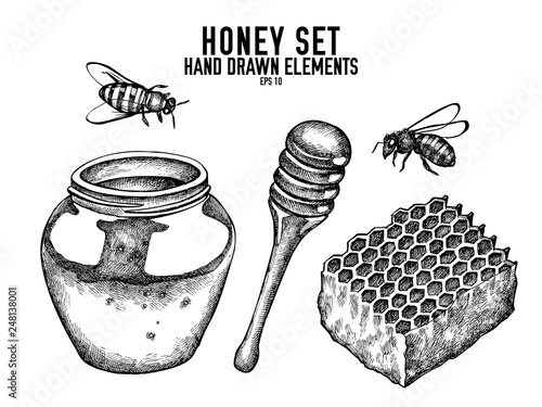 Vector collection of hand drawn black and white honey