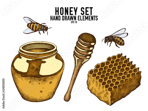Vector collection of hand drawn colored  honey