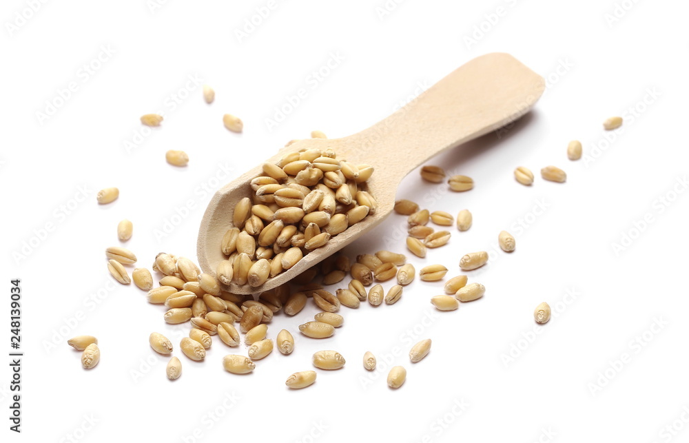 Wheat kernels pile with wooden spoon isolated on white background Wheat kernels pile with wooden spoon isolated on white background