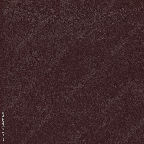 The brown natural luxury leather textured background .