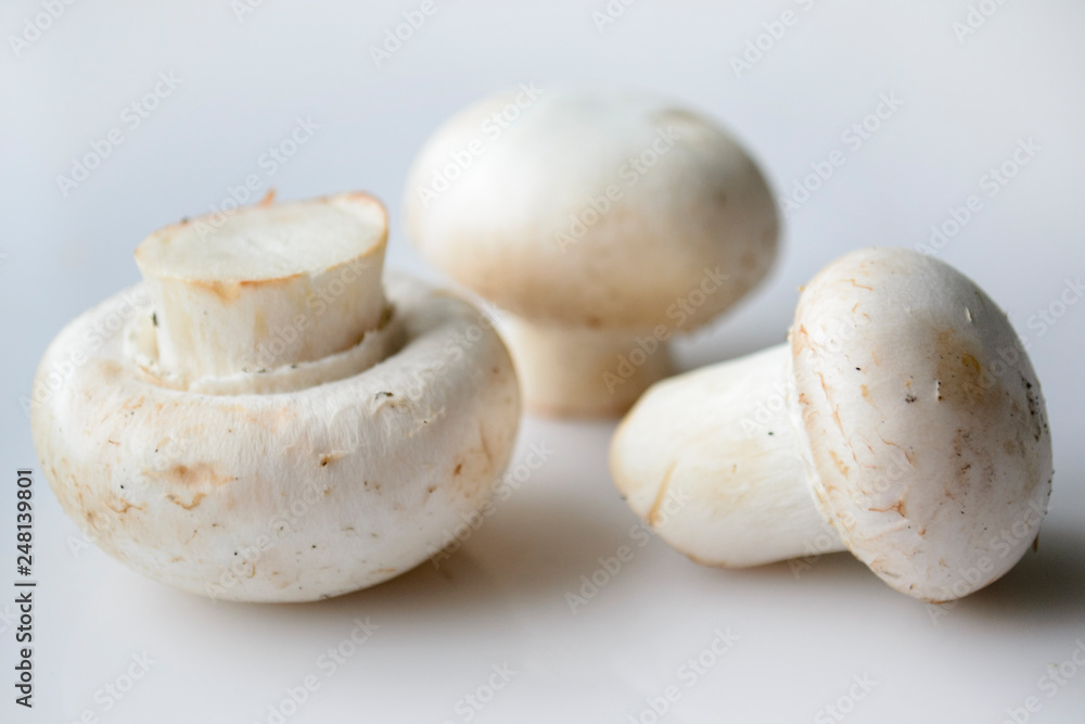 champignons close up on white background champignons close up on white background