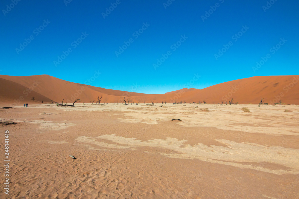 Namibia Namib desert Deadvlei