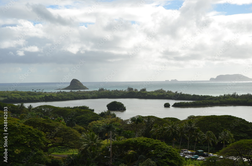 Landschaft Felsen Insel Meer