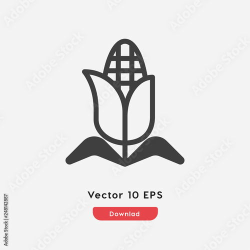 corn icon vector
