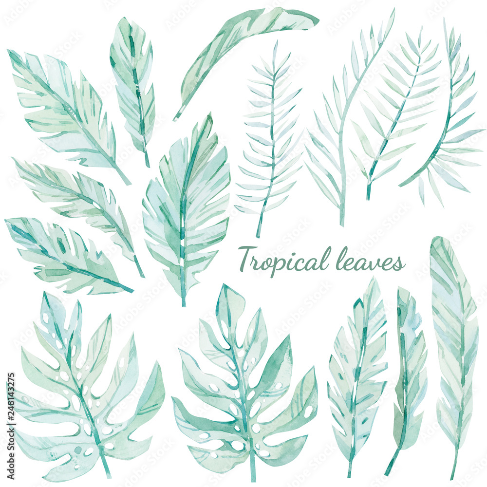 watercolor drawing of tropical leaves set watercolor drawing of tropical leaves set
