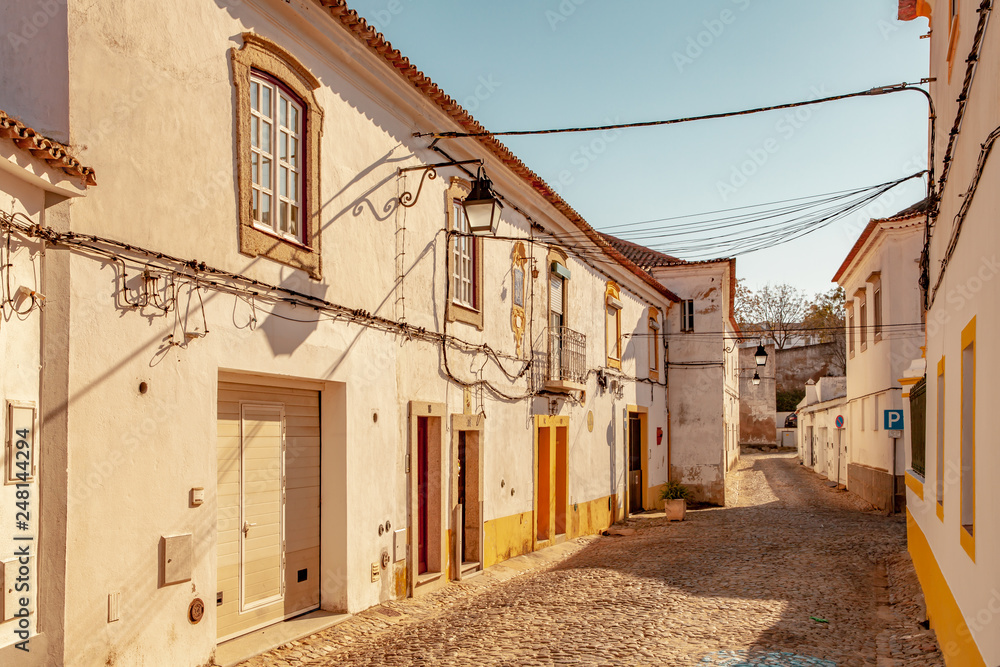 Traditional Portuguese residential Architecture in the city Evora Portugal