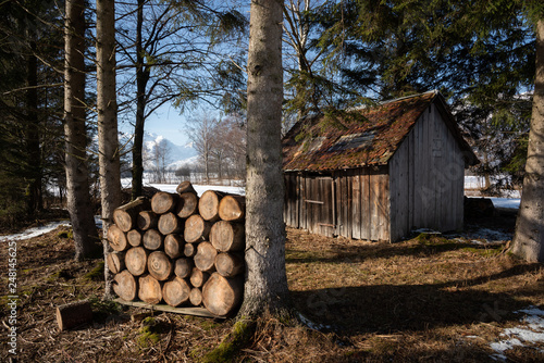 Winter im Ruggeller Riet, Liechtenstein, Rheintal photo