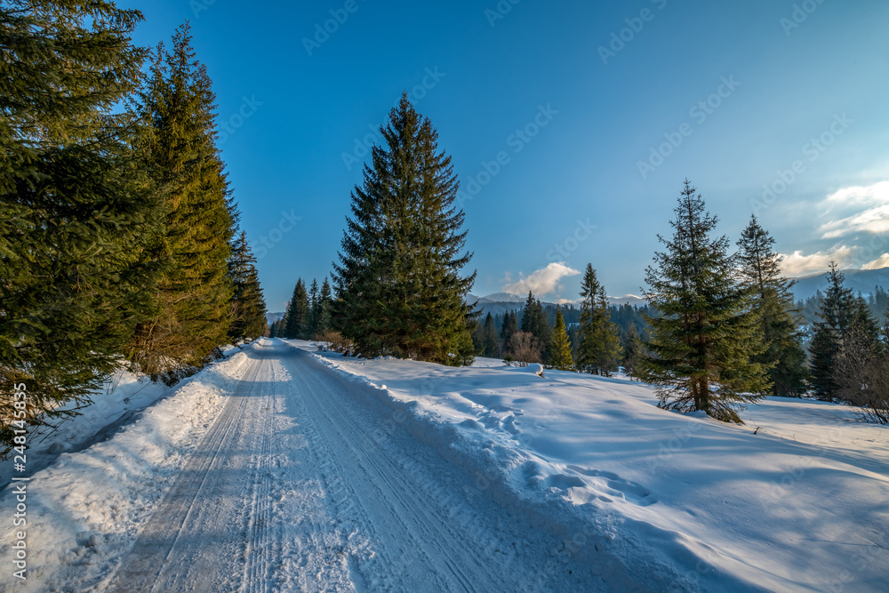 lesna droga, zimowy krajobraz - obrazy, fototapety, plakaty 