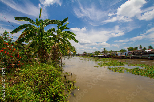 Typisches Landschaftsbild auf dem Mekongdelta in Vietnam