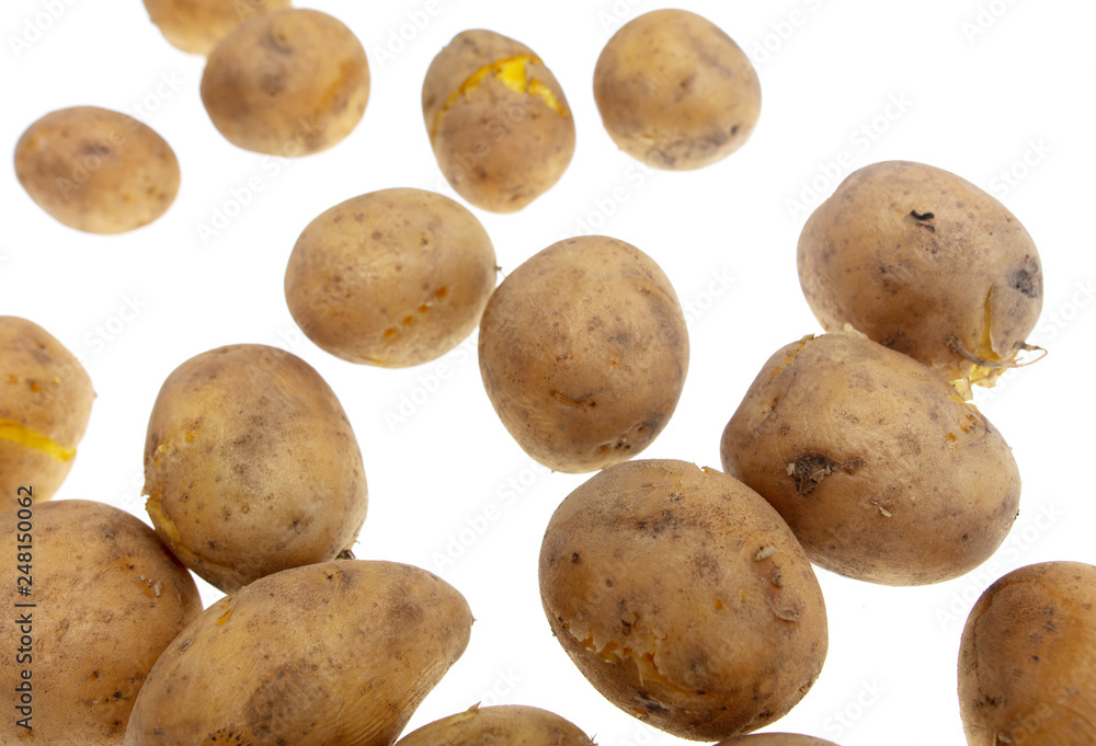 Boiled potatoes isolated on white background Boiled potatoes isolated on white background