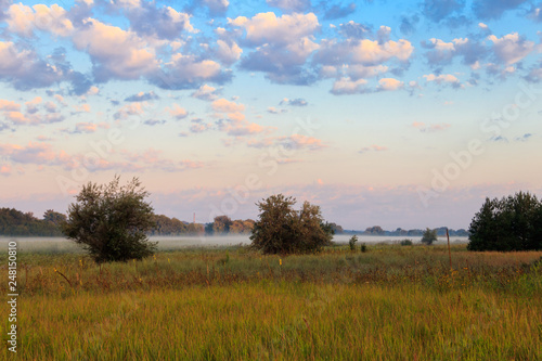 Summer landscape with green misty meadow, trees and sky. Fog on the grassland