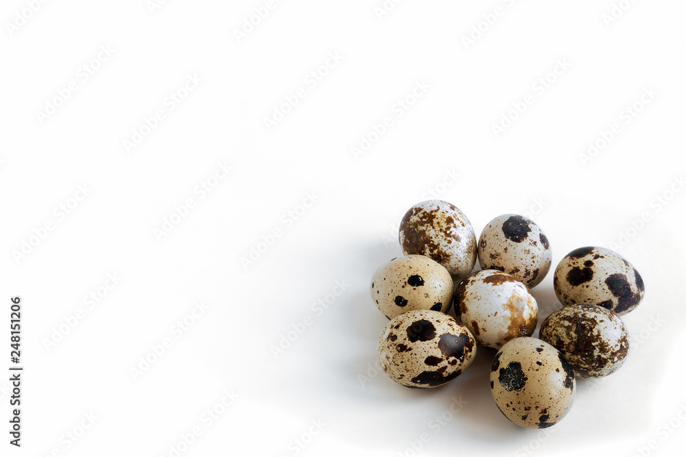 quail eggs isolated on white background, copy space for text quail eggs isolated on white background, copy space for text
