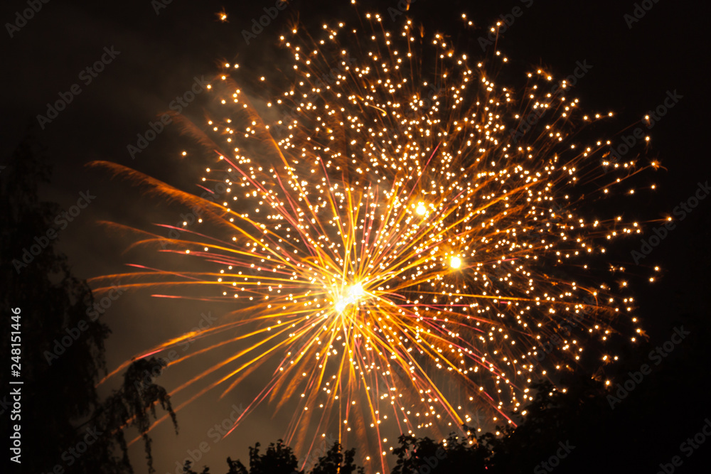 Obraz premium Beautiful colourful fireworks for celebration on black background. New Year and holidays concept