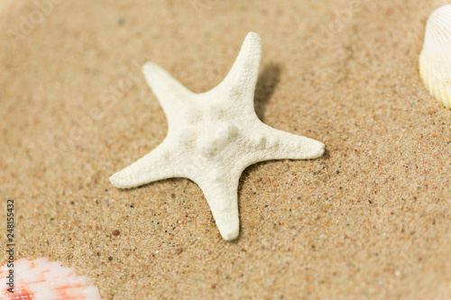 vacation and summer holidays concept - starfish on beach sand