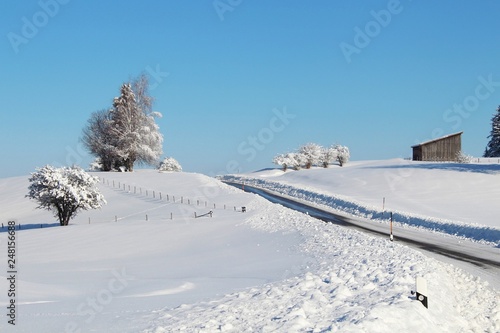 Kurvige Landstra  e in verschneiter Winterlandschaft  Allg  u  Bayern
