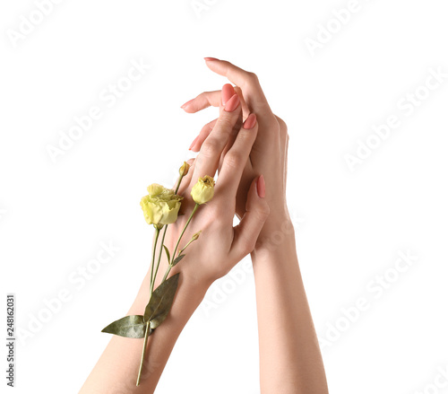 Female hands with beautiful flowers on white background