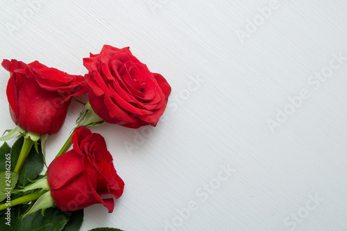 Three Red Roses on white wo...