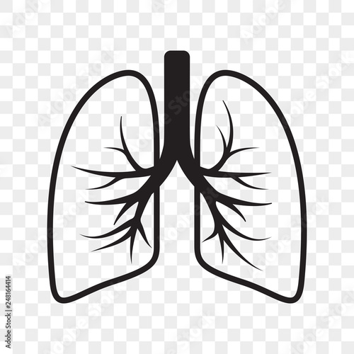 Lungs vector outline icon. Cold cough and bronchitis lung disease treatment