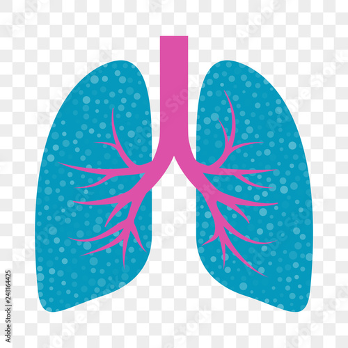 Lungs vector icon. Cold cough and acute bronchitis, lung asthma and stop cough mucolytic treatment photo