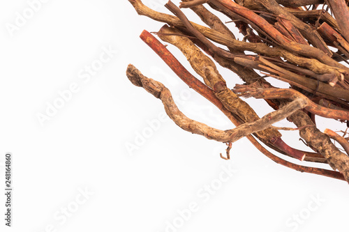 Medicinal roots de zarzaparrilla - Smilax aspera. Top view photo