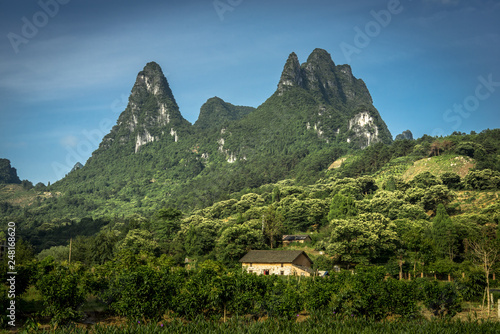 Wallpaper Mural Karst mountains in China Torontodigital.ca