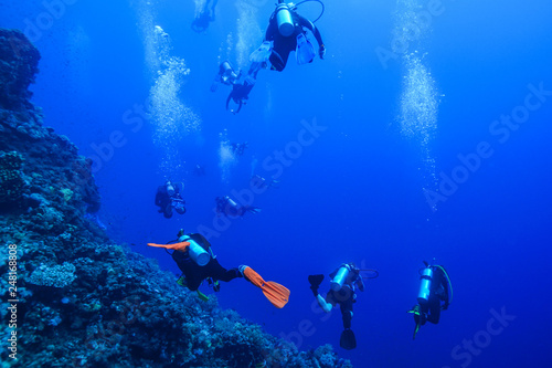 Diving the Red Sea  Egypt