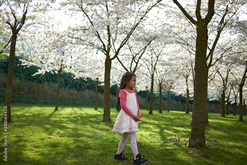 Cute Asian girl playing piano outdoors in a Cherry blossom park during spring Cute Asian girl playing piano outdoors in a Cherry blossom park during spring
