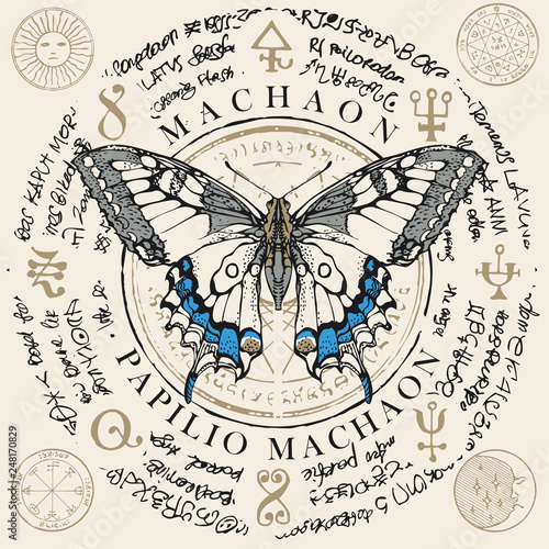 Illustration of a Papilio machaon butterfly with pale wings on an old abstract background with magical inscriptions and symbols. Vector banner in retro style
