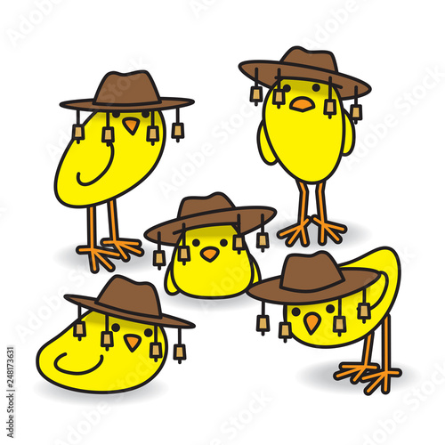 Five Staring Aussie Yellow Chicks