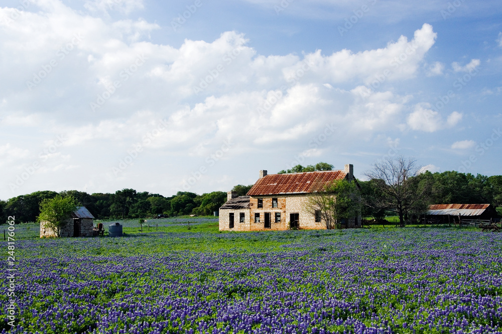 A deserted farmhouse