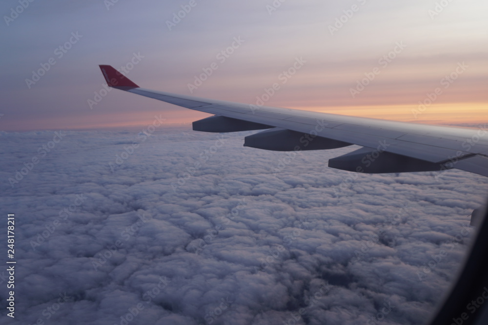 Fototapeta premium Fliegen