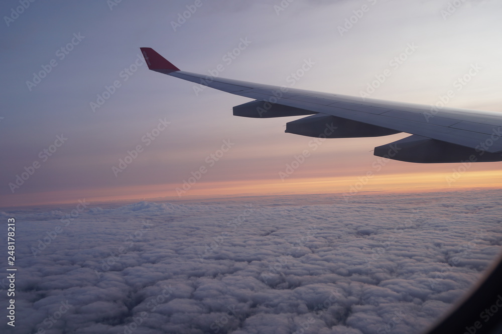Fliegen Fliegen