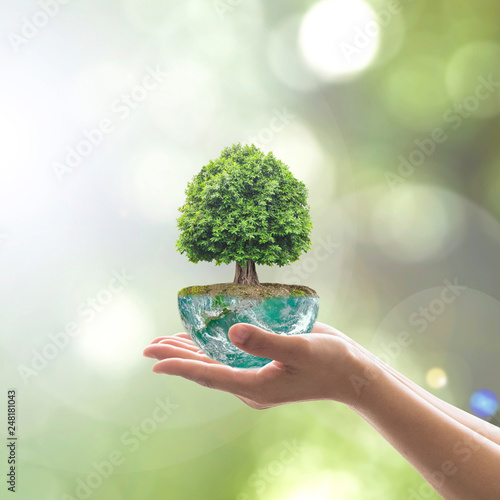 Planting tree in green globe planet on volunteer's hands for world environment day, eco friendly concept. Elements of this image furnished by NASA