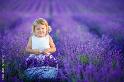 Cute little curly-haired girl in a lavender field with a basket in her hands.
