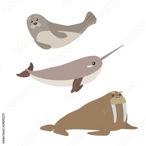 Set of cute vector marine mammals. Seal, narwhal, walrus. Cartoon ocean animals in flat style.