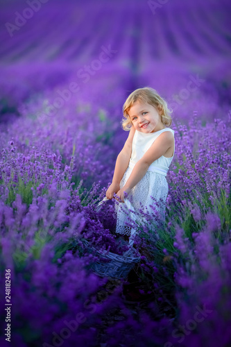 Cute little curly-haired girl in a lavender field with a basket in her hands.