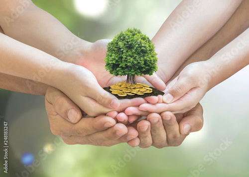 Retirement planning and family investment concept with wealthy tree growing on parent -.children's hands