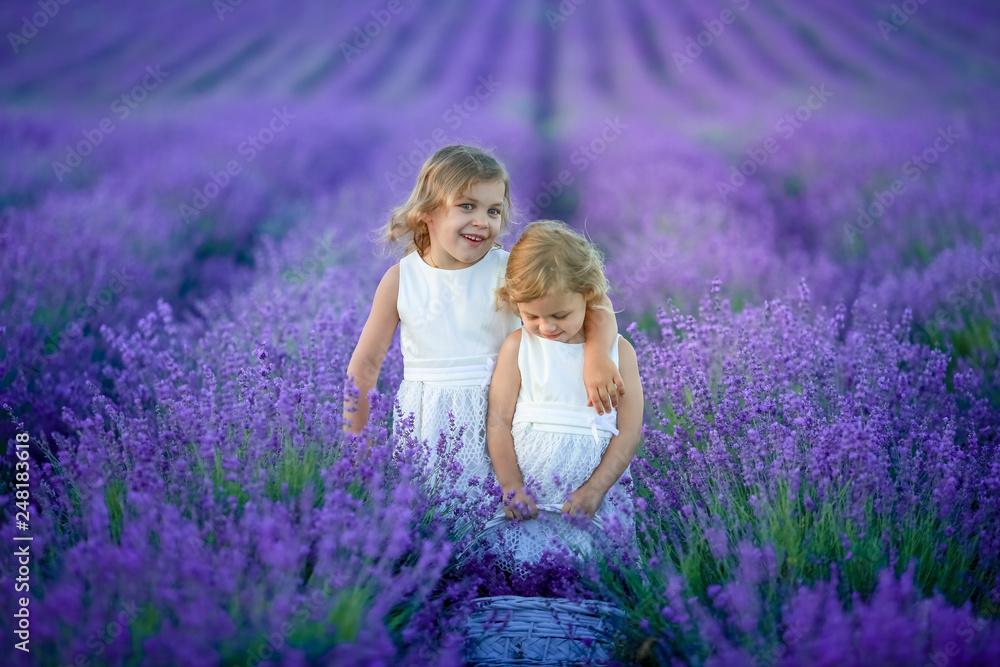 Two cute little sisters in a lavender field Two cute little sisters in a lavender field