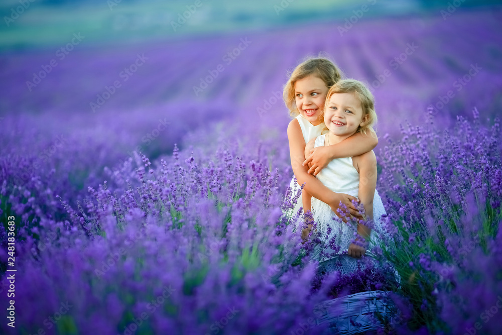 Two cute little sisters in a lavender field Two cute little sisters in a lavender field