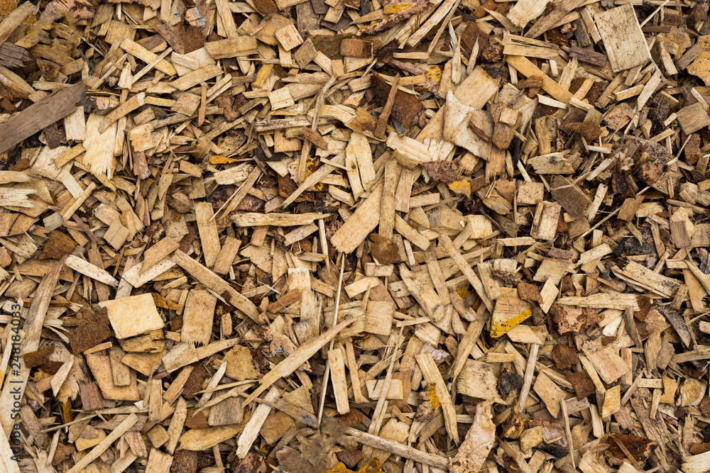 the texture of wood sawdust poured in a chaotic manner. the texture of wood sawdust poured in a chaotic manner.