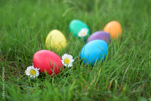 Red Easter egg in a grass