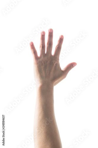 Isolated female woman human hand open palm raising up on white background expressing vote, volunteering