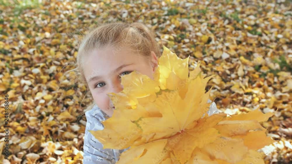 Smiling teen girl posing with autumn leaves. Smiling teen girl posing with autumn leaves.