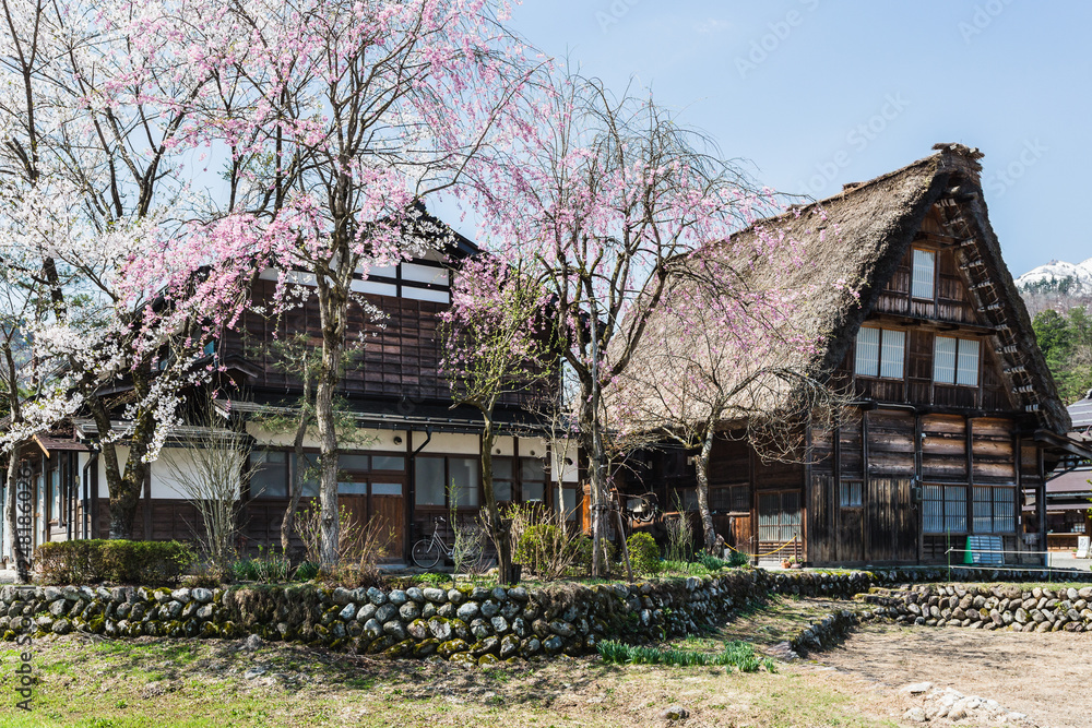 Gassho zukuri houses in Shirakawa-go Japan Gassho zukuri houses in Shirakawa-go Japan