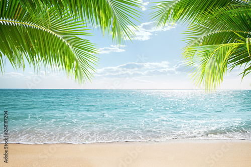 View of nice tropical beach with some palms © Dmitry Ersler