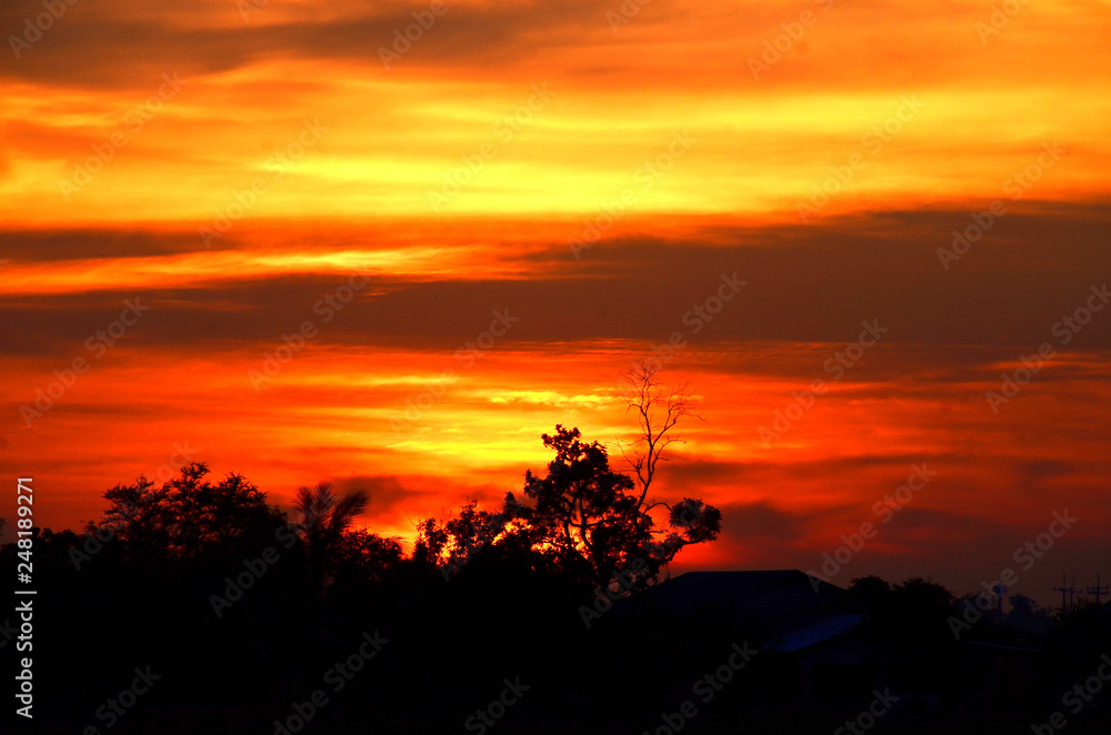 Picture of a sun setting behind a dense forest area followed by mountains.	