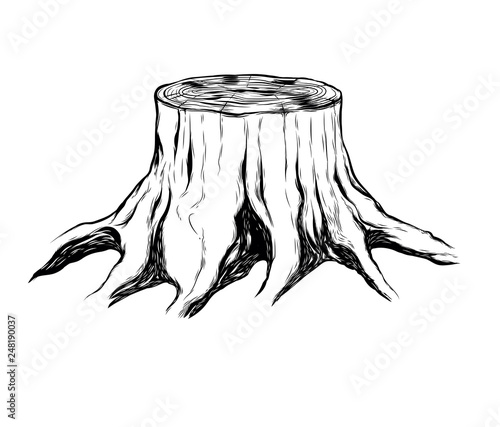 Dried Tree, Illegal Logging Symbol, Vector on White Background - Vector Illustration - Vector