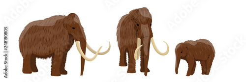 Tableau sur toile A group of woolly mammoths in various poses