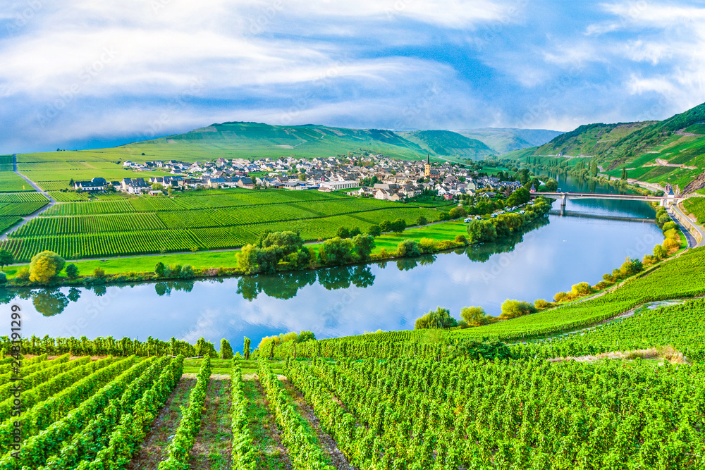 Fototapeta premium famous Moselle Sinuosity with vineyards